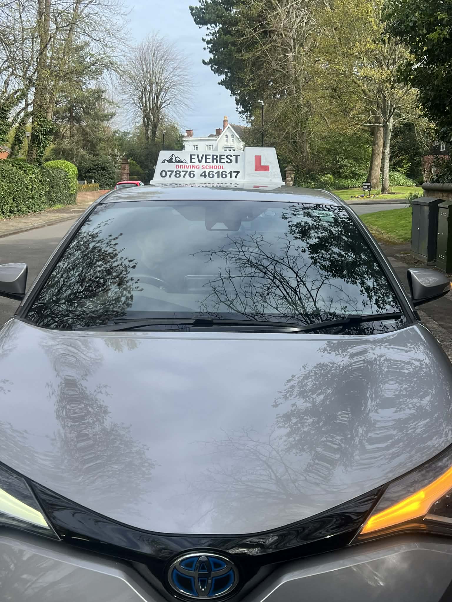 Professional Driving Instructor